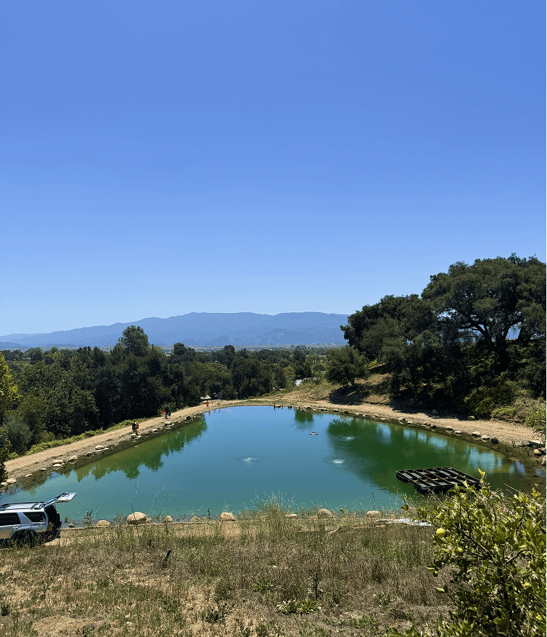 Small pond surrounded by trees and hills.
