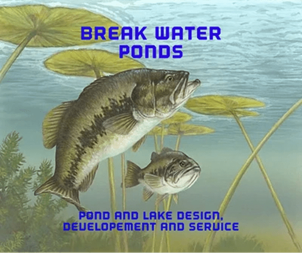 Fish and lilies, Break Water Ponds logo.