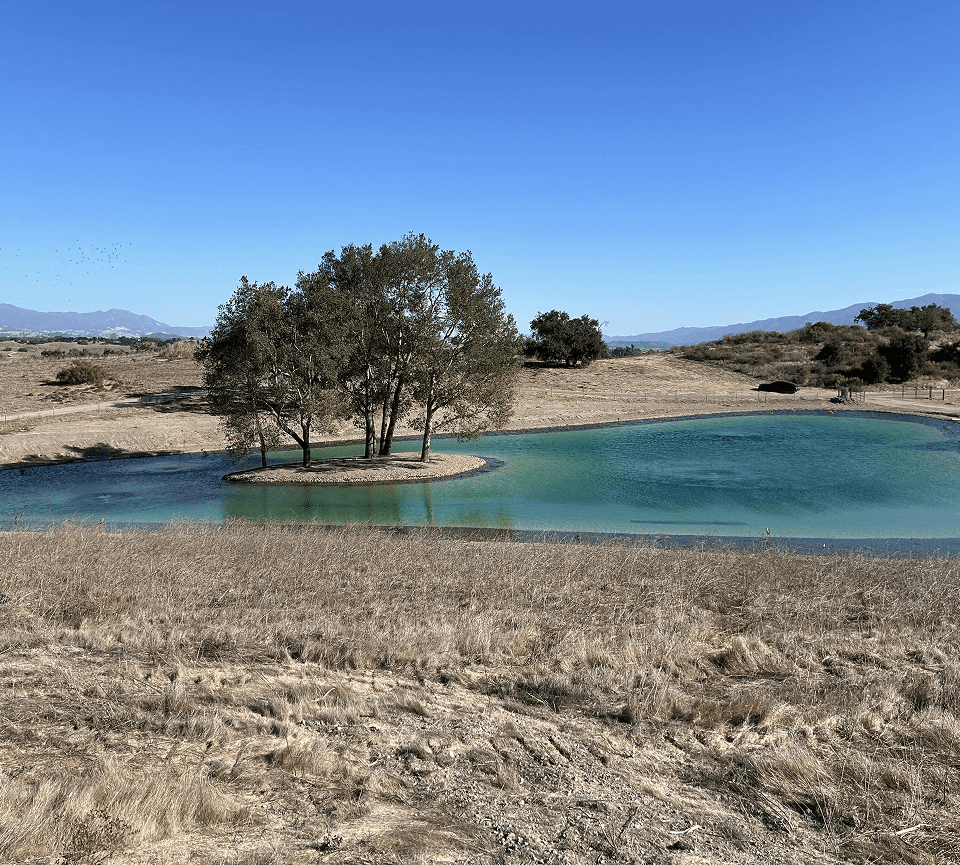 Small island with trees in blue pond.