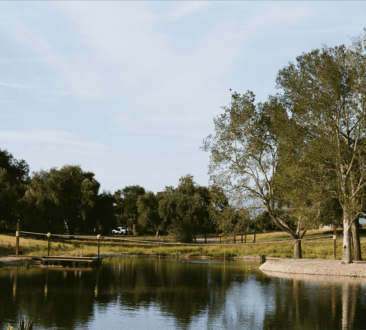Tranquil pond with surrounding trees, wooden dock, and clear sky in the background.