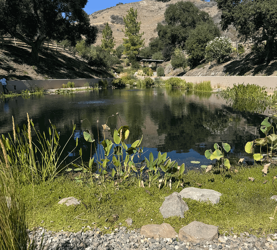 Tranquil pond with surrounding greenery and hills.