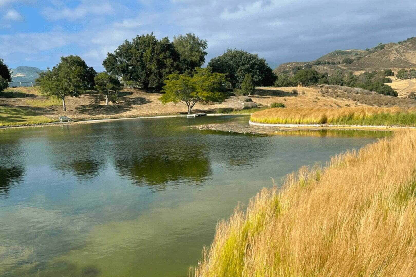 A peaceful pond surrounded by trees and grassy hills.